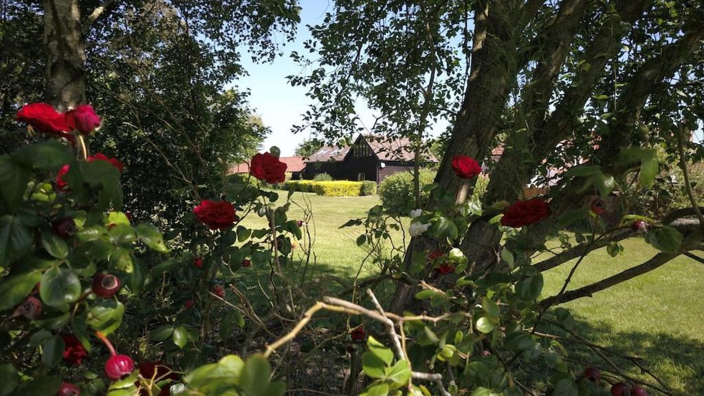 Owls Nest - Peace And Tranquility Near Woodbridge & Framlingham In Rural Suffolk Apartamento Exterior foto