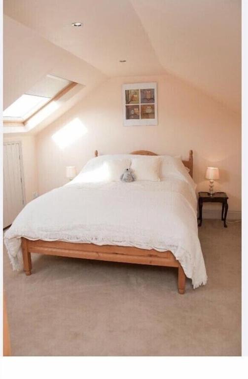 Owls Nest - Peace And Tranquility Near Woodbridge & Framlingham In Rural Suffolk Apartamento Exterior foto